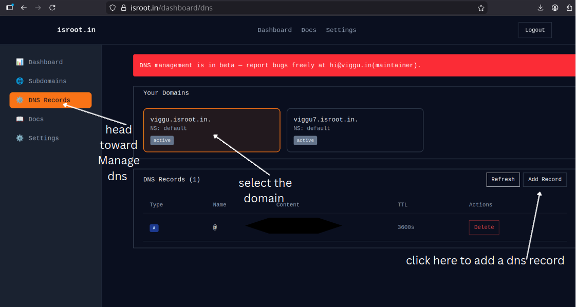 DNS management dashboard